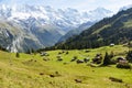 Amazing touristic alpine village in valley Lauterbrunnen, Switzerland