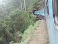 Amazing train tour in srilanka Royalty Free Stock Photo