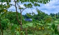 Amazing Train view on the railway in Sri Lanka