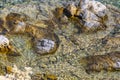 Amazing transparent turquoise coloured seawater with rocks in Datca coast.