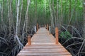 Amazing travel at beautiful brown bridge in nature green