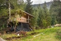 Beautiful treehouse with large windows