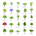 Green Trees Flat Icons Pack