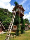 Amazing treehouse in Thailand, Samroiyot Royalty Free Stock Photo