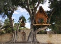 Amazing treehouses in a private area . Living on the tree concept. Alternative living.