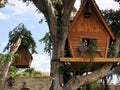 Amazing treehouses in a private area . Living on the tree concept. Alternative living.