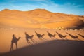 Sahara desert camels trekking tours with berbers adventure dromadaires riding and berber guiding excursion Royalty Free Stock Photo