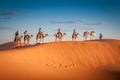 Sahara desert camels trekking tours with berbers adventure dromadaires riding and berber guiding excursion Royalty Free Stock Photo