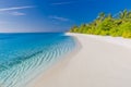 Maldives paradise beach. Perfect tropical island. Beautiful palm trees and tropical beach. Moody blue sky and blue lagoon Royalty Free Stock Photo