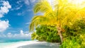 Beautiful tropical landscape. Maldives island beach and palm trees. Perfect tropical banner Royalty Free Stock Photo