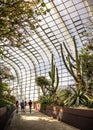 Amazing tropical forest, Clouds Forest, at Gardens by the bay, Marina Bay, Singapore