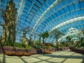 Amazing tropical forest, Clouds Forest, at Gardens by the bay, Marina Bay, Singapore Royalty Free Stock Photo