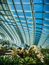 Amazing tropical forest, Clouds Forest, at Gardens by the bay, Marina Bay, Singapore