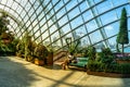 Amazing tropical forest, Clouds Forest, at Gardens by the bay, Marina Bay, Singapore Royalty Free Stock Photo