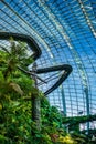 Amazing tropical forest, Clouds Forest, at Gardens by the bay, Marina Bay, Singapore