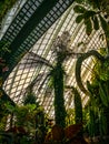Amazing tropical forest, Clouds Forest, at Gardens by the bay, Marina Bay, Singapore Royalty Free Stock Photo