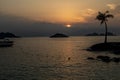 Amazing tropical sunrise over a coconut tree island andthe sea horizon Royalty Free Stock Photo