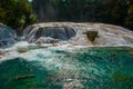 Amazing Turquoise-blue water of the waterfall Agua Azul in Chiapas, Palenque, Mexico. Royalty Free Stock Photo