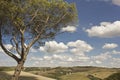 Amazing Tuscany landscape