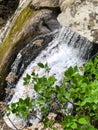 Spectacular waterfall in Great Smoky Mountains National Park Royalty Free Stock Photo