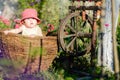A cute little girl sits on a hay in a basket in the garden Royalty Free Stock Photo