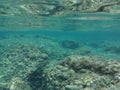 The amazing underwater world of the Mediterranean Sea near the island of Rhodes. Rhodes, Greece Royalty Free Stock Photo