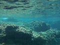 The amazing underwater world of the Mediterranean Sea near the island of Rhodes. Rhodes, Greece Royalty Free Stock Photo