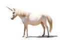 Amazing unicorn with beautiful mane on white background