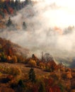 Amazing vertical foggy autumn scenery, scenic nature landscape, Carpathian mountains. Ukraine, Europe