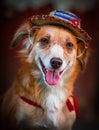 Amazing vertical shot of a golden retriever dressed up for the camera