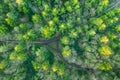 Aerial drone wood Ireland Cork County Irish forest green trees