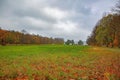 Amazing view of autumn landscape. Yellow orange fallen leaves as sign of fall. Park / forest / outdoor. Royalty Free Stock Photo