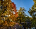 Amazing view of autumn park with sunbeams shine through beautiful yellow and red crowns of maple trees Royalty Free Stock Photo