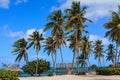 Amazing view of Caribbean beach with white sand and beautiful exotic palm trees, Dominican Republic, Caribbean Islands Royalty Free Stock Photo