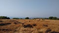 Amazing view at chapora fort