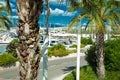 Amazing view of the city of Cannes, France, palm trees, yachts Royalty Free Stock Photo