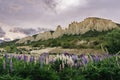 Amazing view of Clay cliffs at Omarama and lupin wild flowers. New Zealand, South Island Royalty Free Stock Photo