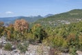 Amazing view of Eastern Rhodopes, Bulgaria