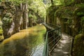 Devinska River and Eco trail Strouilitsa-Lukata, Bulgaria