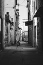 Amazing view of the empty street in the old town. a lone black dog stands and looks at the camera on a paved pavement along a