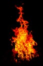 Amazing view of fire flames on a black background - perfect for wallpaper