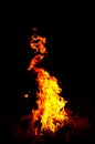 Amazing view of fire flames on a black background - perfect for wallpaper