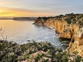 Amazing view of flowers and cliffs by sunset in Lagos, Portugal