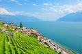 Amazing view of Geneva Lake, Lac Leman, with Saint Saphorin village, Switzerland. Beautiful terraced vineyards on adjacent hills. Royalty Free Stock Photo