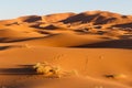 Amazing view of the great sand dunes in the Sahara Desert, Erg Chebbi, Merzouga, Morocco Royalty Free Stock Photo