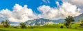 Amazing view of green lawn of a golf course with palm trees, mountains on the background. Location: Buenavista del Norte, Tenerife Royalty Free Stock Photo