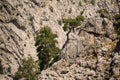 Amazing view of high ancient Lycian Way rock