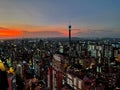 Johannesburg Panoramic View from Ponte Tower South Africa