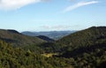 Amazing view in Kondalilla National Park