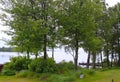 Amazing view of the lake through the branches of trees in Sweden.